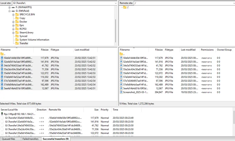 Files uploaded in FileZilla