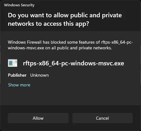 Windows allow network access prompt